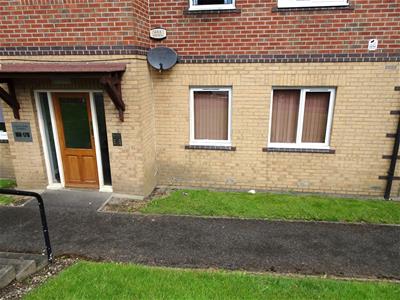 Picture 10